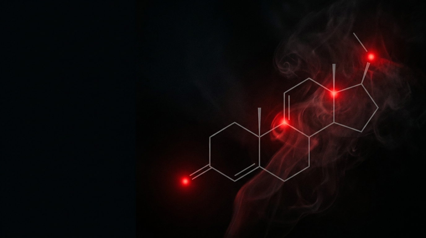 Does TRT Improve Sex Drive? What the Evidence Actually Shows
